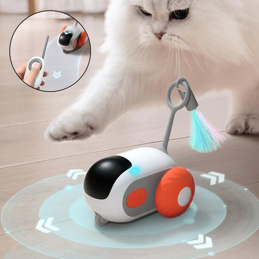 Giocattolo interattivo per gatti e cani di piccola taglia con telecomando e ricarica USB.